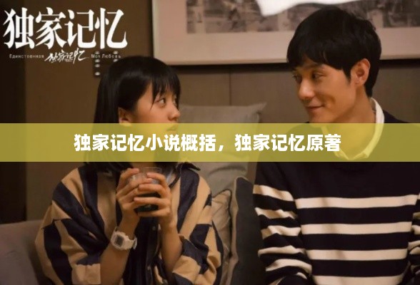 獨家記憶小說概括，獨家記憶原著 