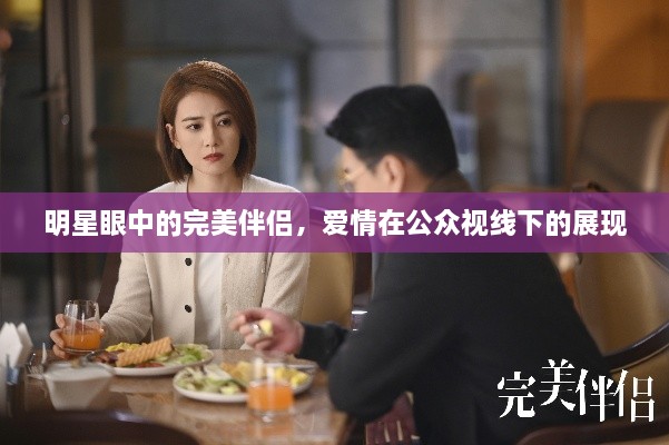 明星眼中的完美伴侶，愛情在公眾視線下的展現(xiàn)