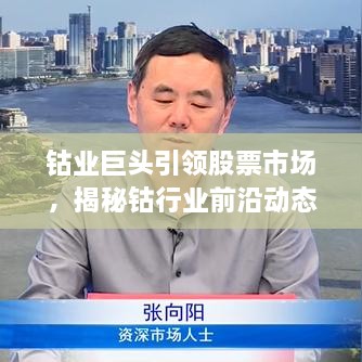 鈷業(yè)巨頭引領(lǐng)股票市場(chǎng)，揭秘鈷行業(yè)前沿動(dòng)態(tài)與未來趨勢(shì)