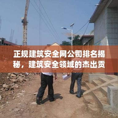 正規(guī)建筑安全網(wǎng)公司排名揭秘，建筑安全領(lǐng)域的杰出貢獻者