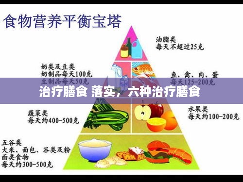 治療膳食 落實，六種治療膳食 