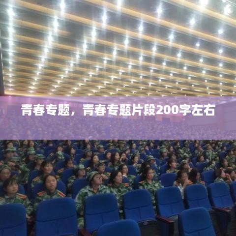 青春專題，青春專題片段200字左右 