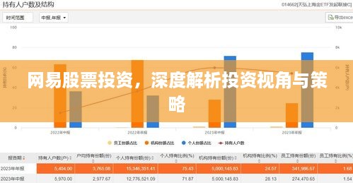 網(wǎng)易股票投資，深度解析投資視角與策略