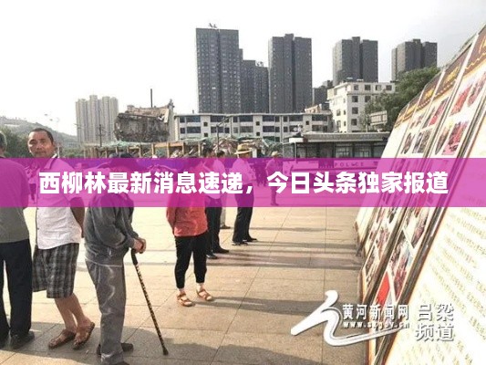 西柳林最新消息速遞，今日頭條獨(dú)家報(bào)道