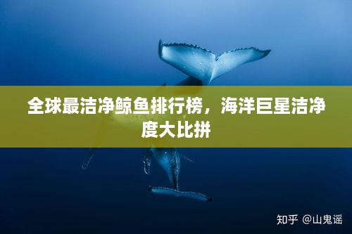 全球最潔凈鯨魚排行榜，海洋巨星潔凈度大比拼