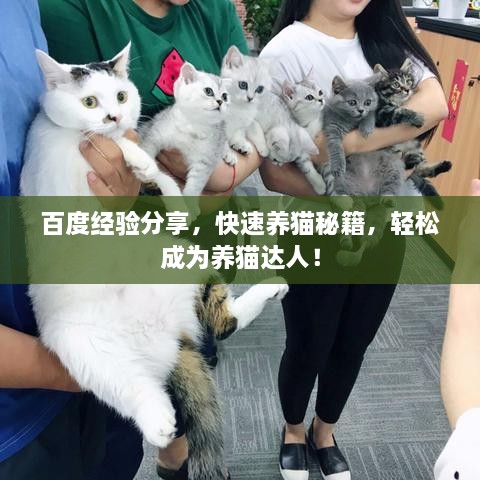 百度經(jīng)驗分享，快速養(yǎng)貓秘籍，輕松成為養(yǎng)貓達(dá)人！