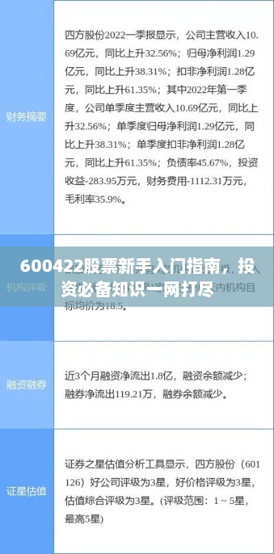 600422股票新手入門指南，投資必備知識一網(wǎng)打盡