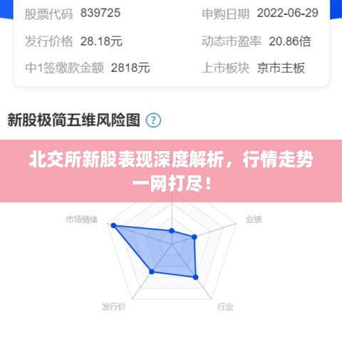 北交所新股表現(xiàn)深度解析，行情走勢一網(wǎng)打盡！