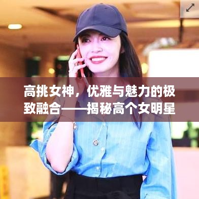 高挑女神，優(yōu)雅與魅力的極致融合——揭秘高個(gè)女明星的魅力風(fēng)采