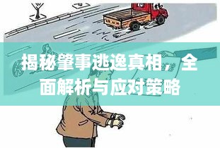 揭秘肇事逃逸真相，全面解析與應(yīng)對策略